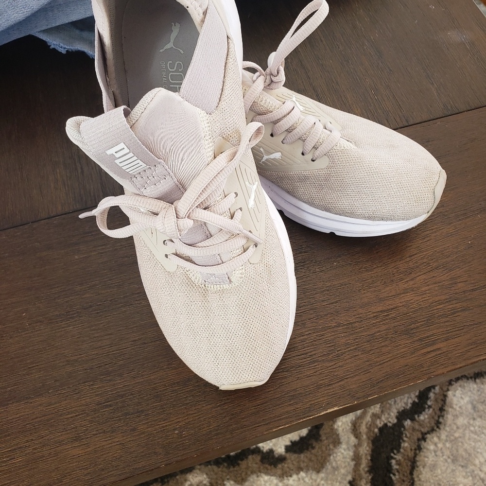 Tan puma's